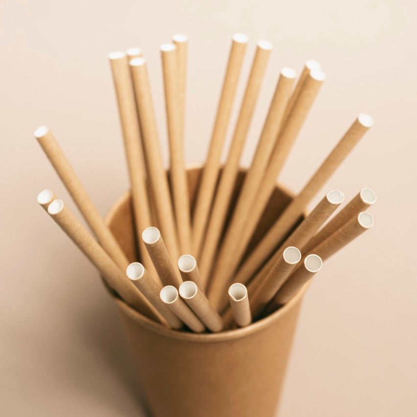 Cannuccia in Carta Biodegradabile Avana