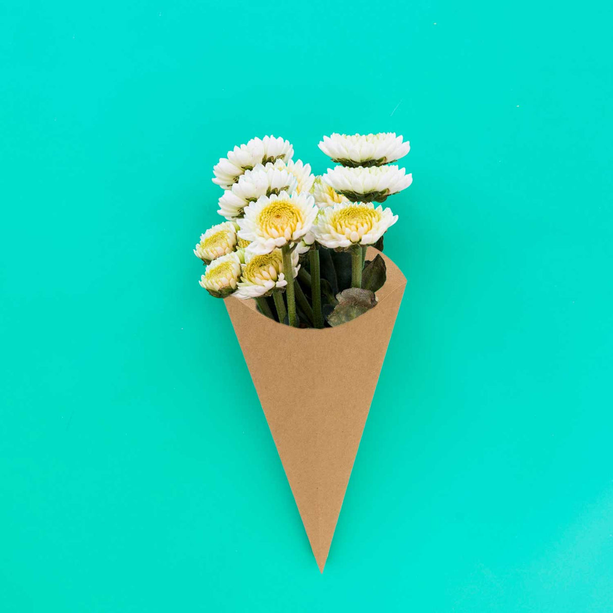 Cono in cartoncino impermeabile