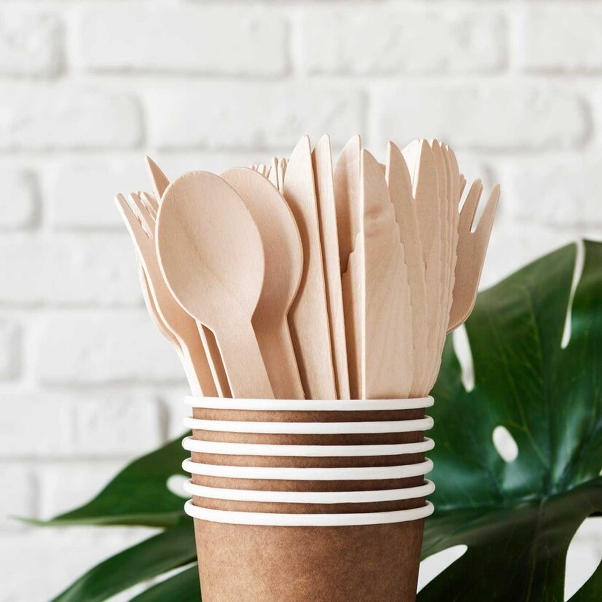 Cucchiaio Monouso in Legno di Betulla