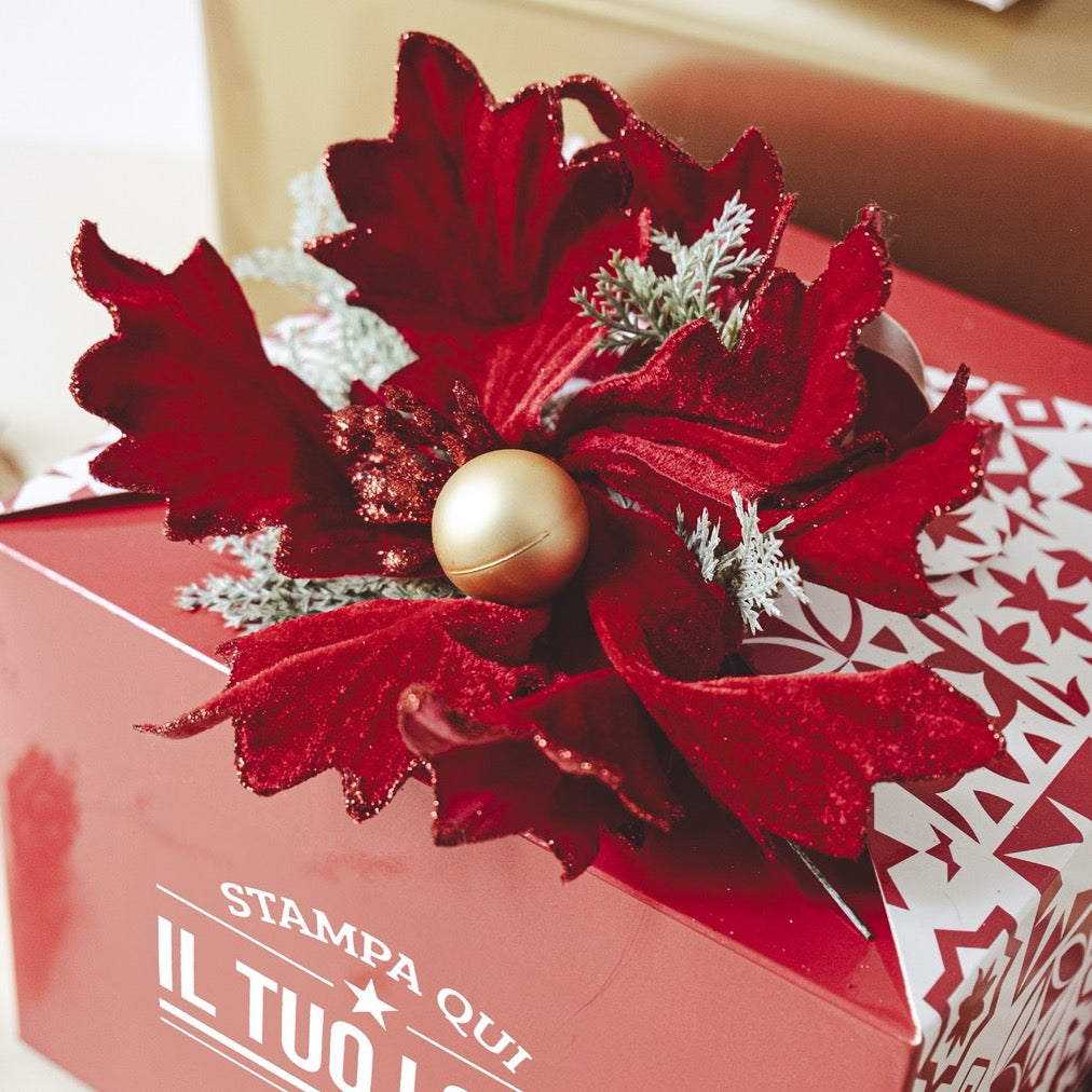 Stella di Natale Velluto Colorato con Glitter