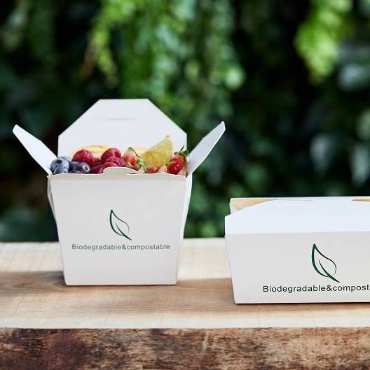 Food Box in Cartoncino e PLA Bio