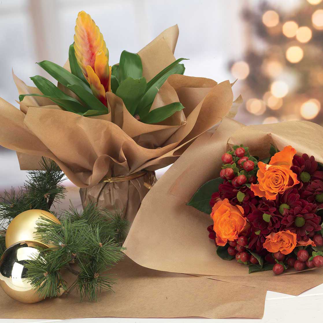 Bobina carta Kraft rivestita PE