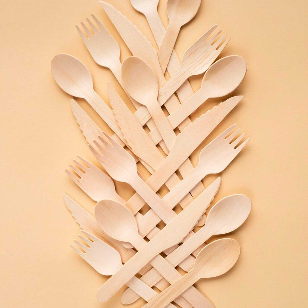 Forchetta Monouso in Legno di Betulla