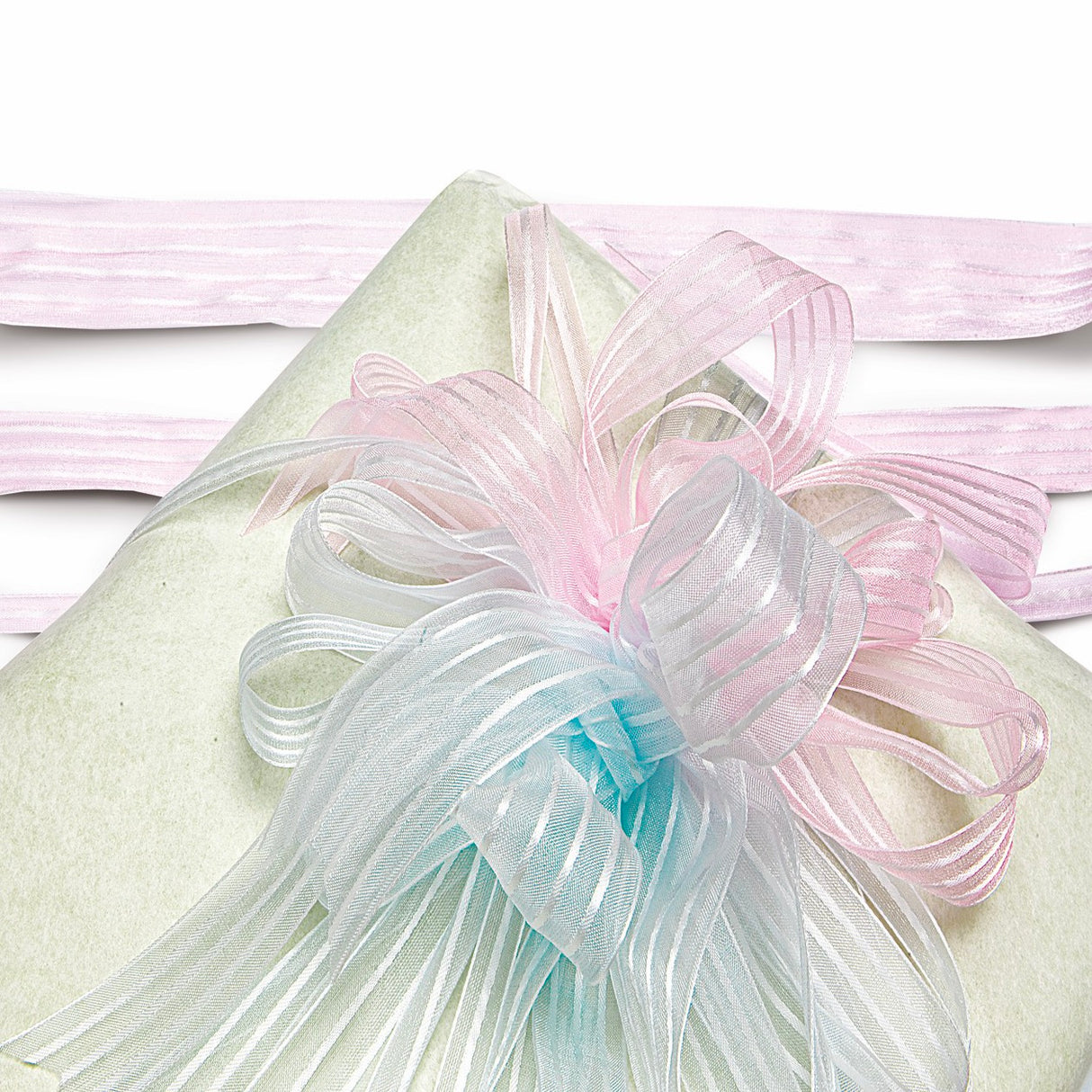 Nastri Organza Righe