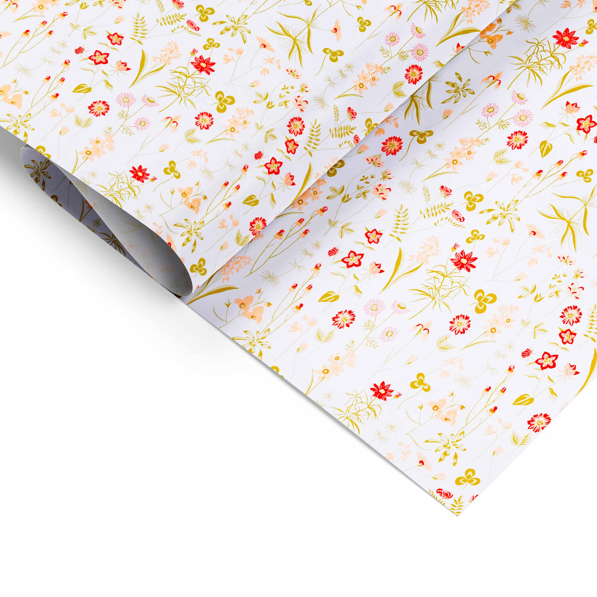 Bobina Carta Bianca Primavera