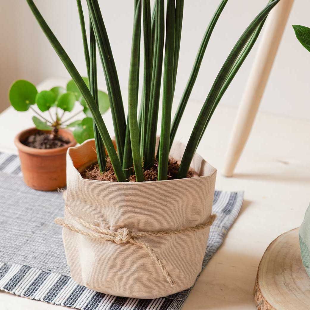 Sottovaso in cotone a coste interno in plastica