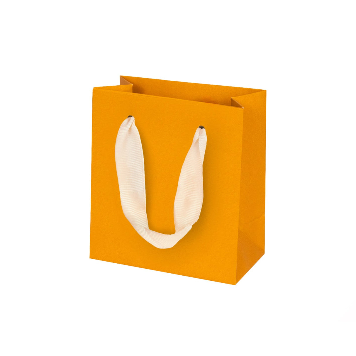 Shopper Elegance Bijoux Manico in raso