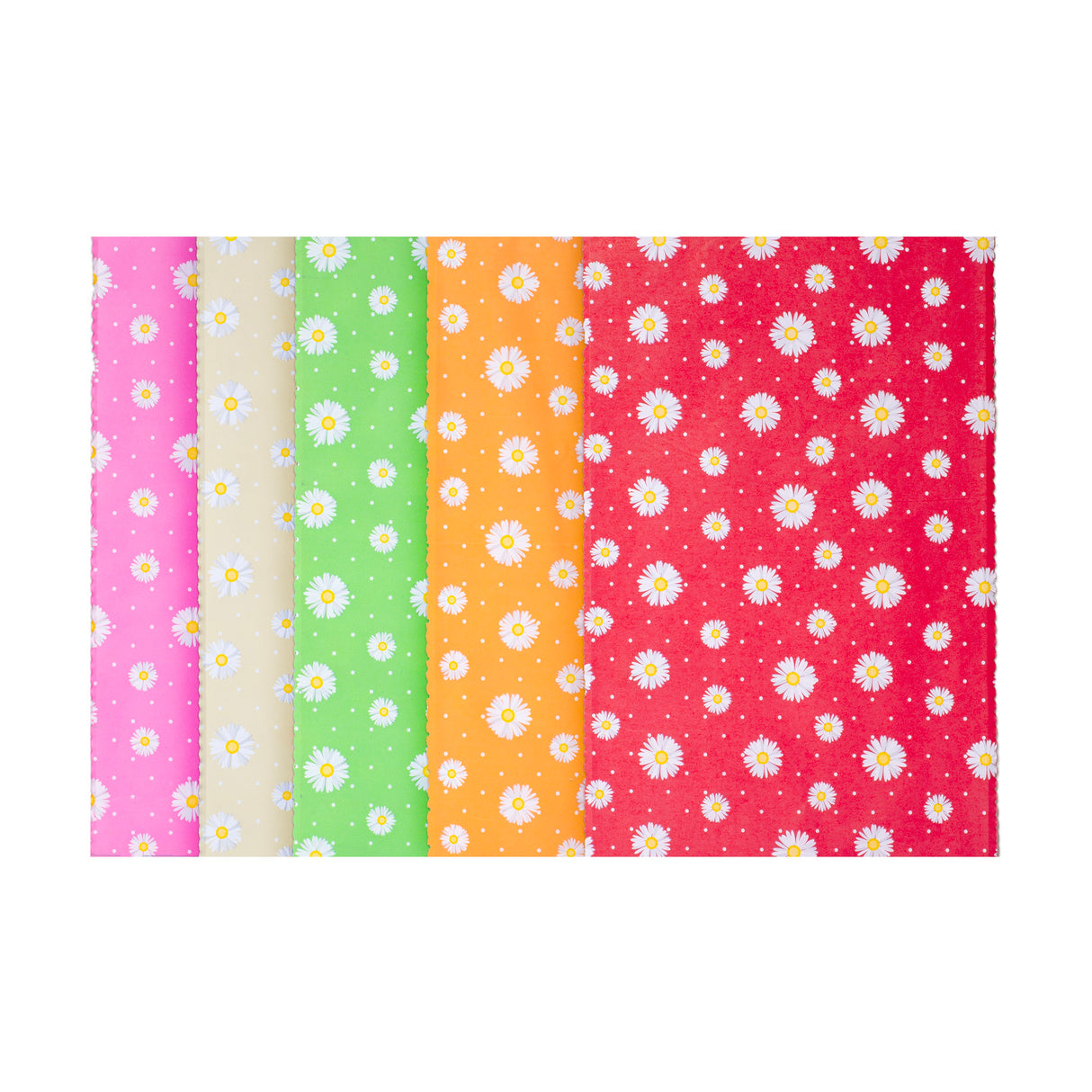 Buste Regalo Carta e PE Camomilla