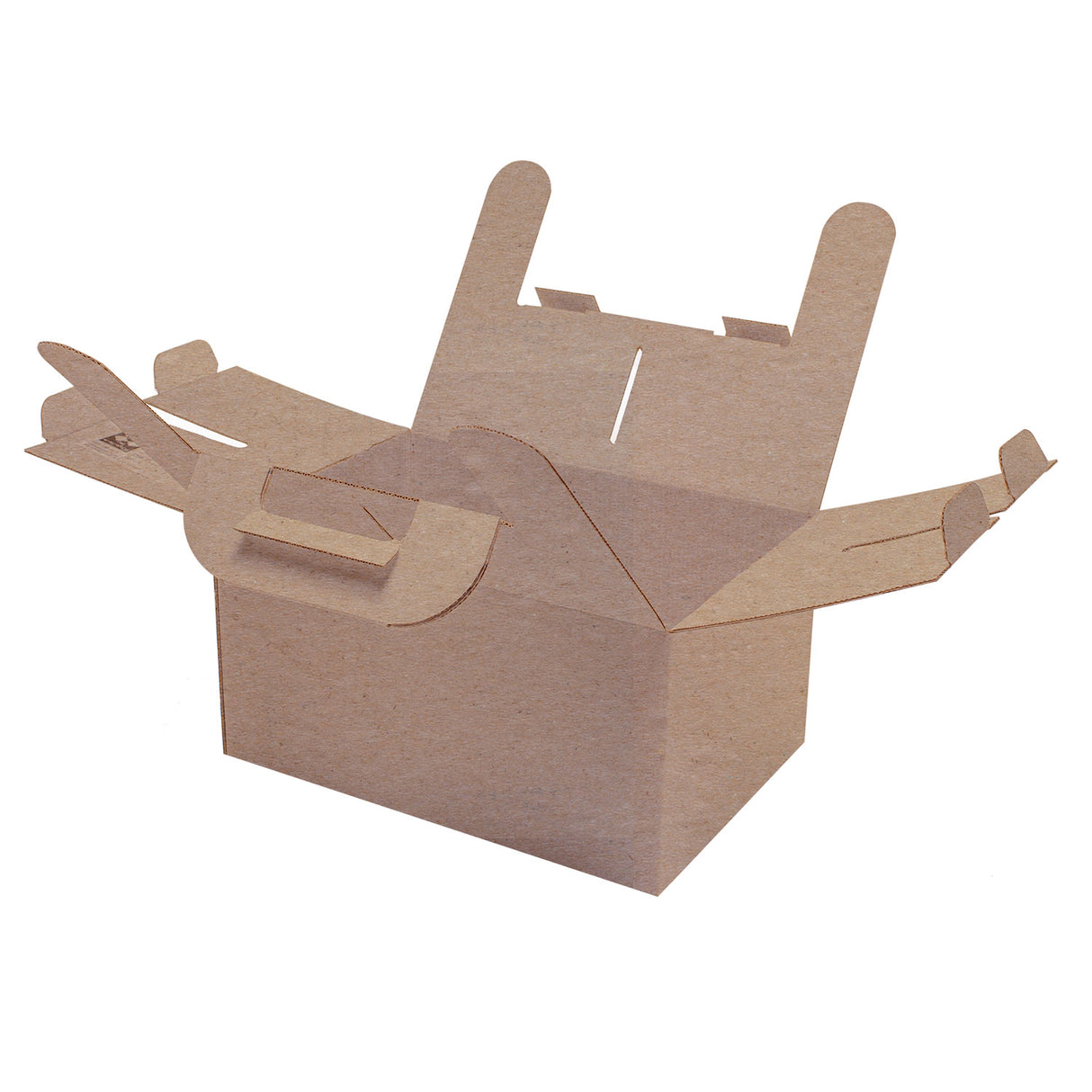 Scatola per Asporto in Cartone Ondulato Maniglia esterna e interna