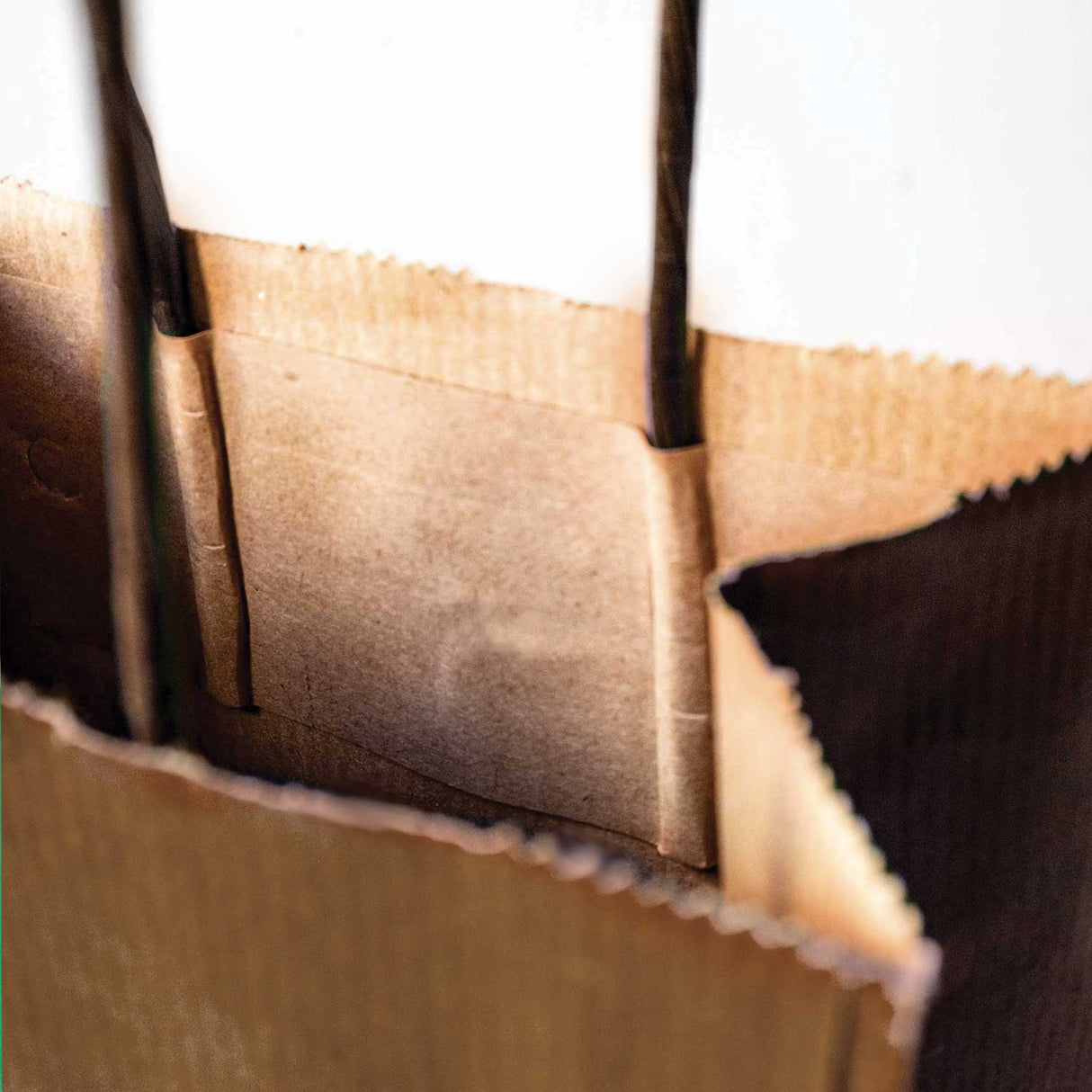 Shopper Portabottiglie Logo a Colori 1-2 Lati