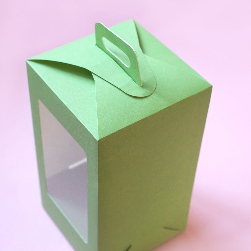 Scatole Porta Uovo con Fondo e Manico