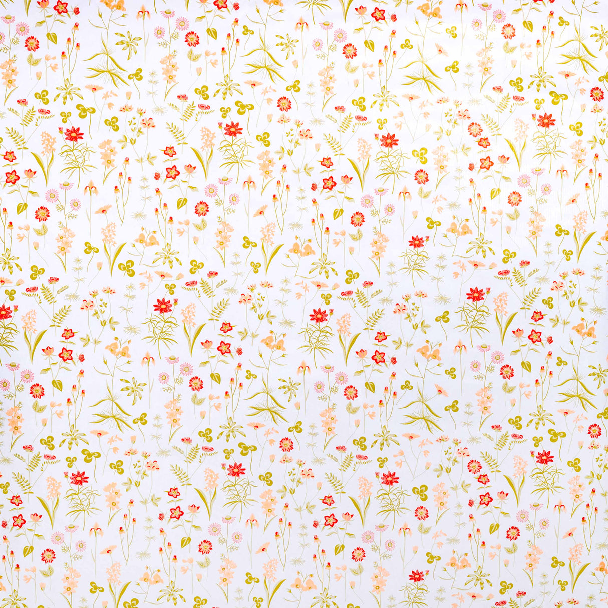 Bobina Carta Bianca Primavera