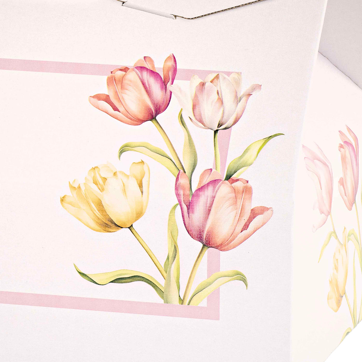 Scatole Baulotto Tulips