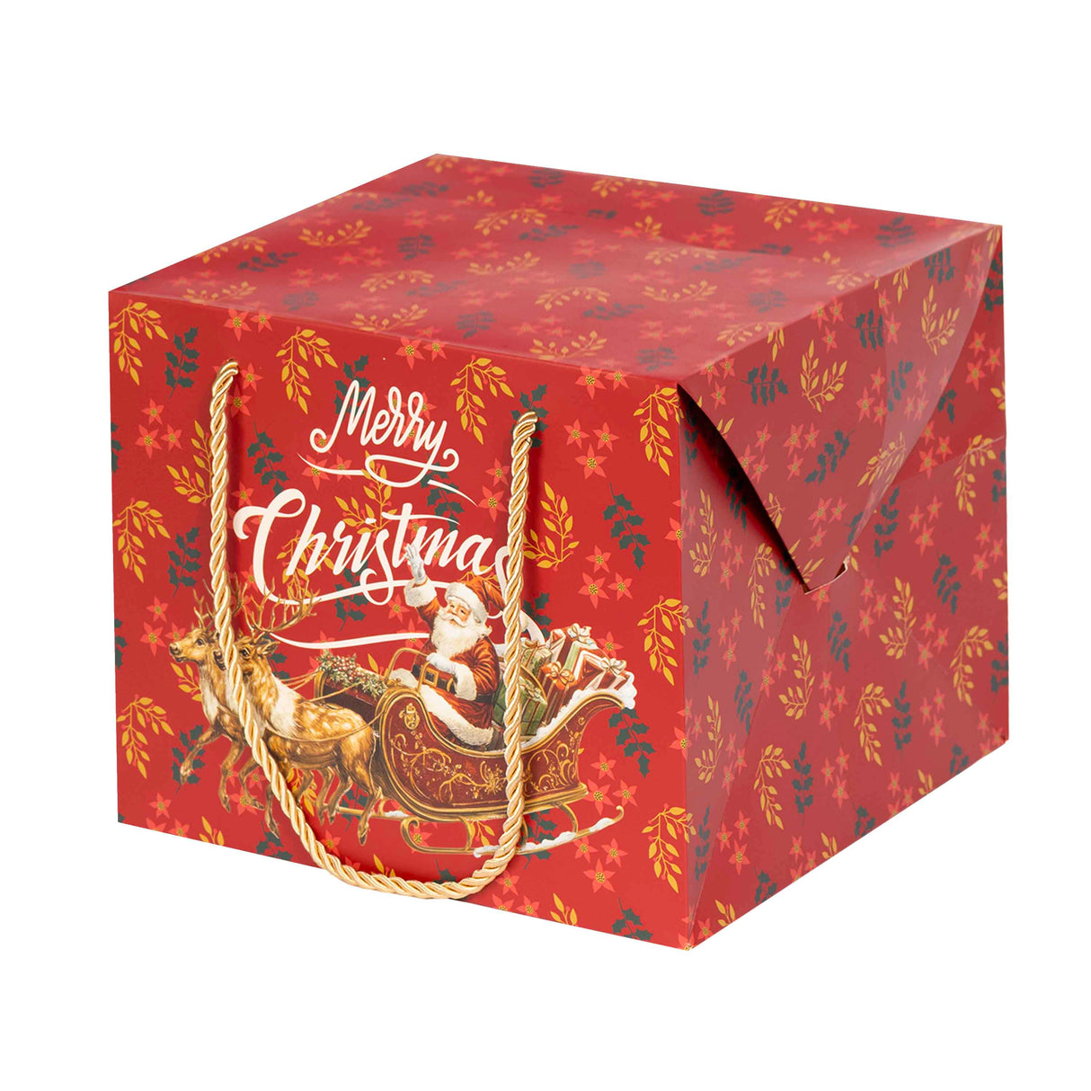 Bag Box Babbo Natale