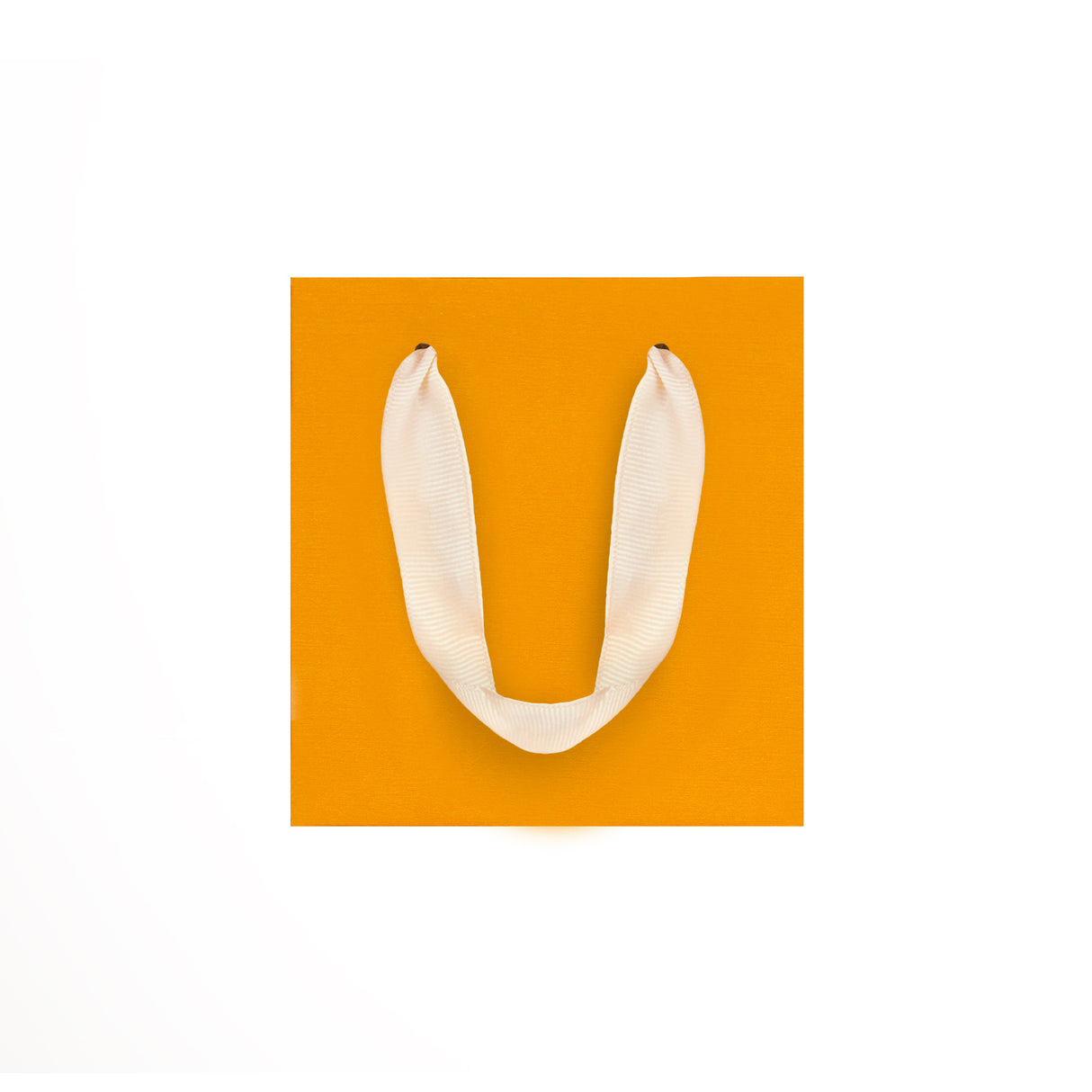 Shopper Elegance Bijoux Manico in raso