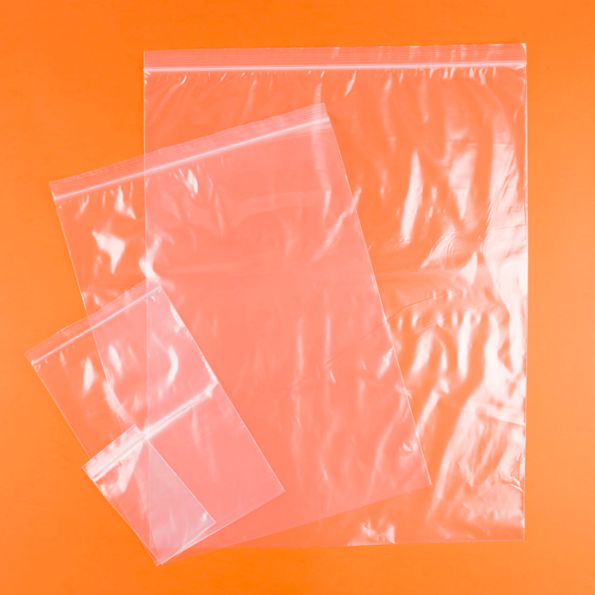 Sacchetti Plastica con Chiusura