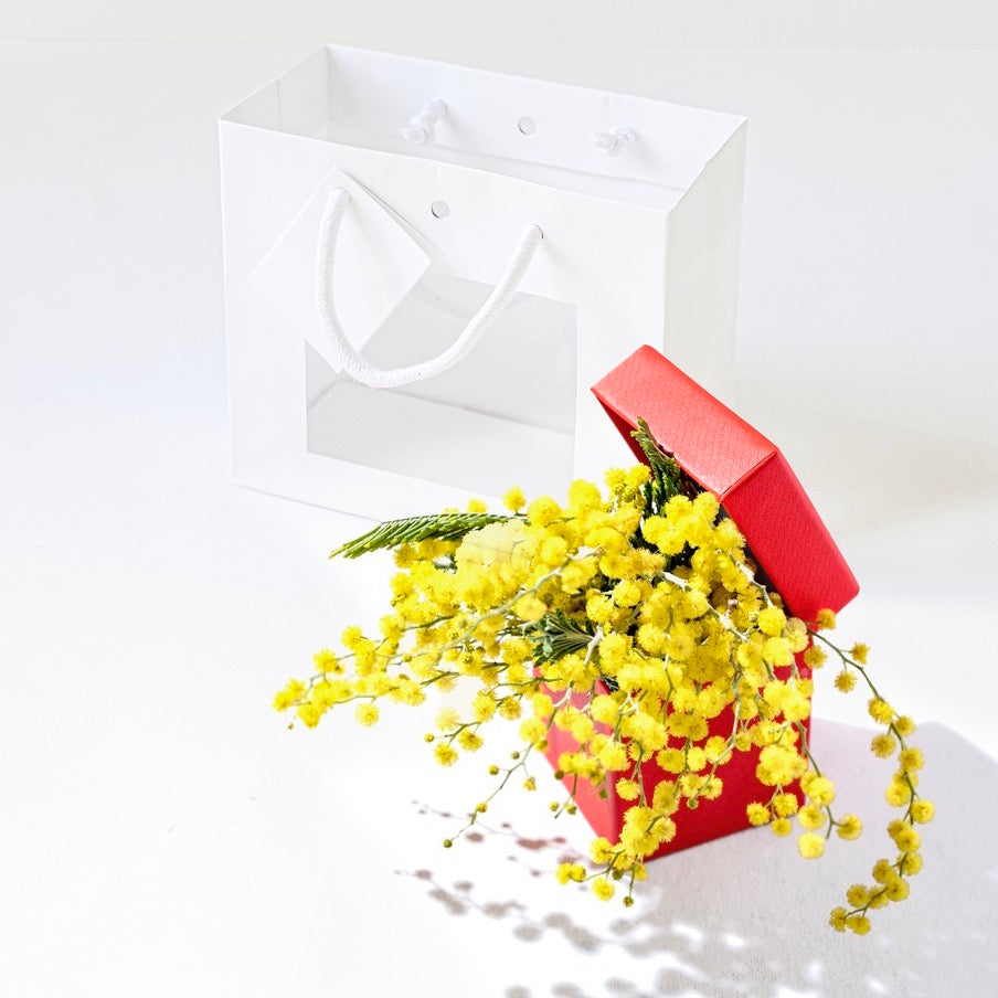 Shopper Carta Lusso Opaca con vetrina