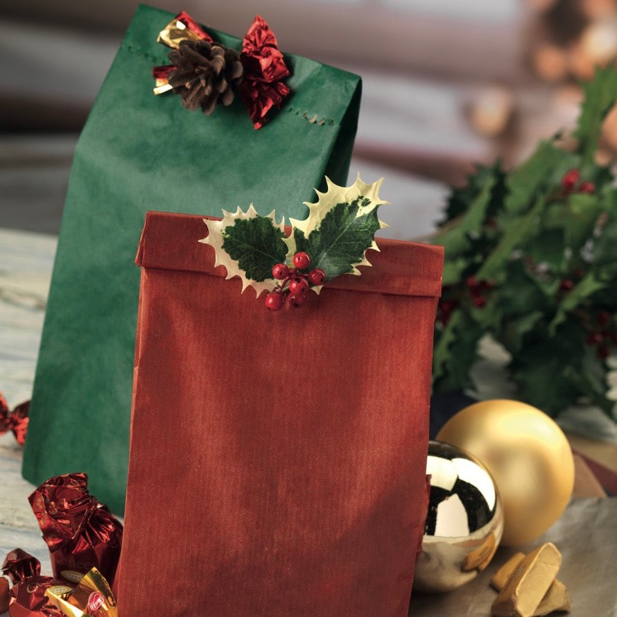 Sacchetti Carta Sealing Colorata