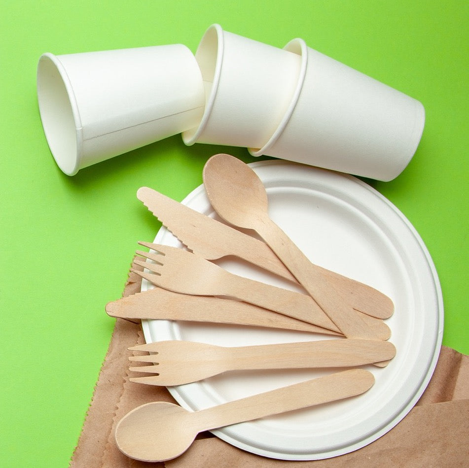 Piatto Piano in Polpa di Cellulosa Tondo