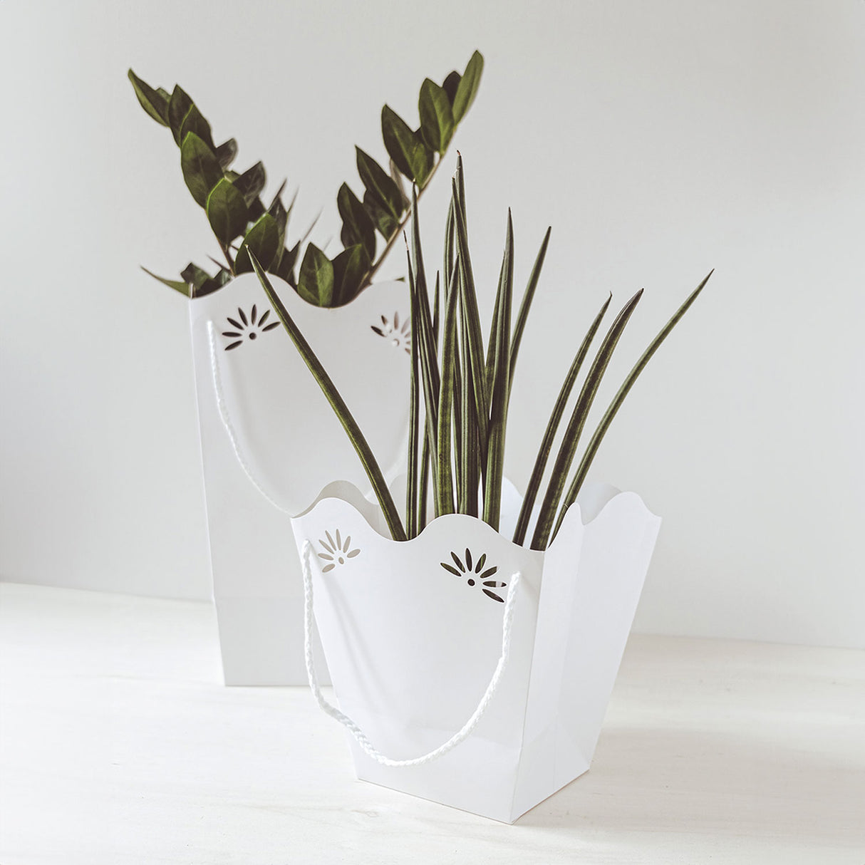 Shopper per piante 210gr con interno PE