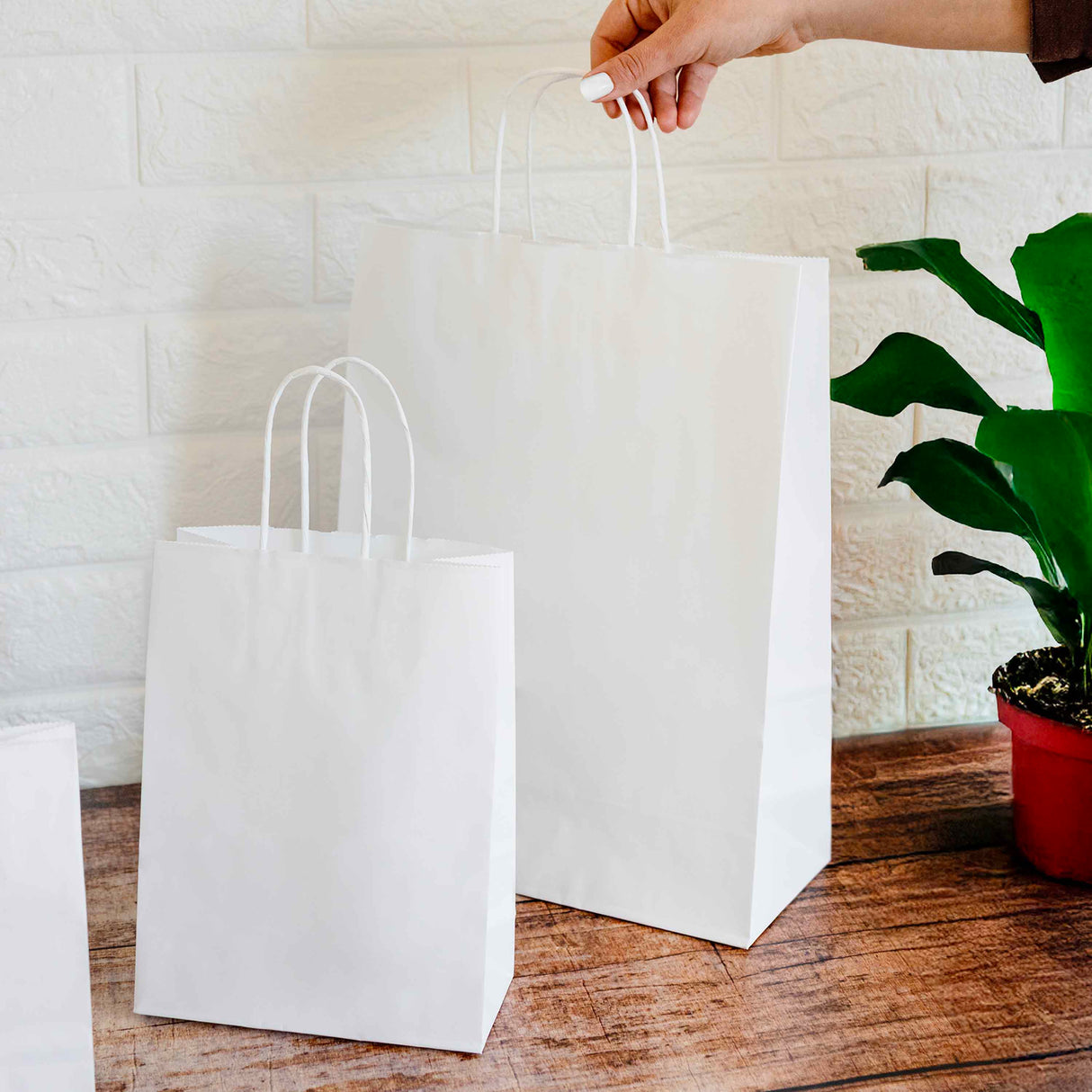 Shopper Carta White Manico in Cordino