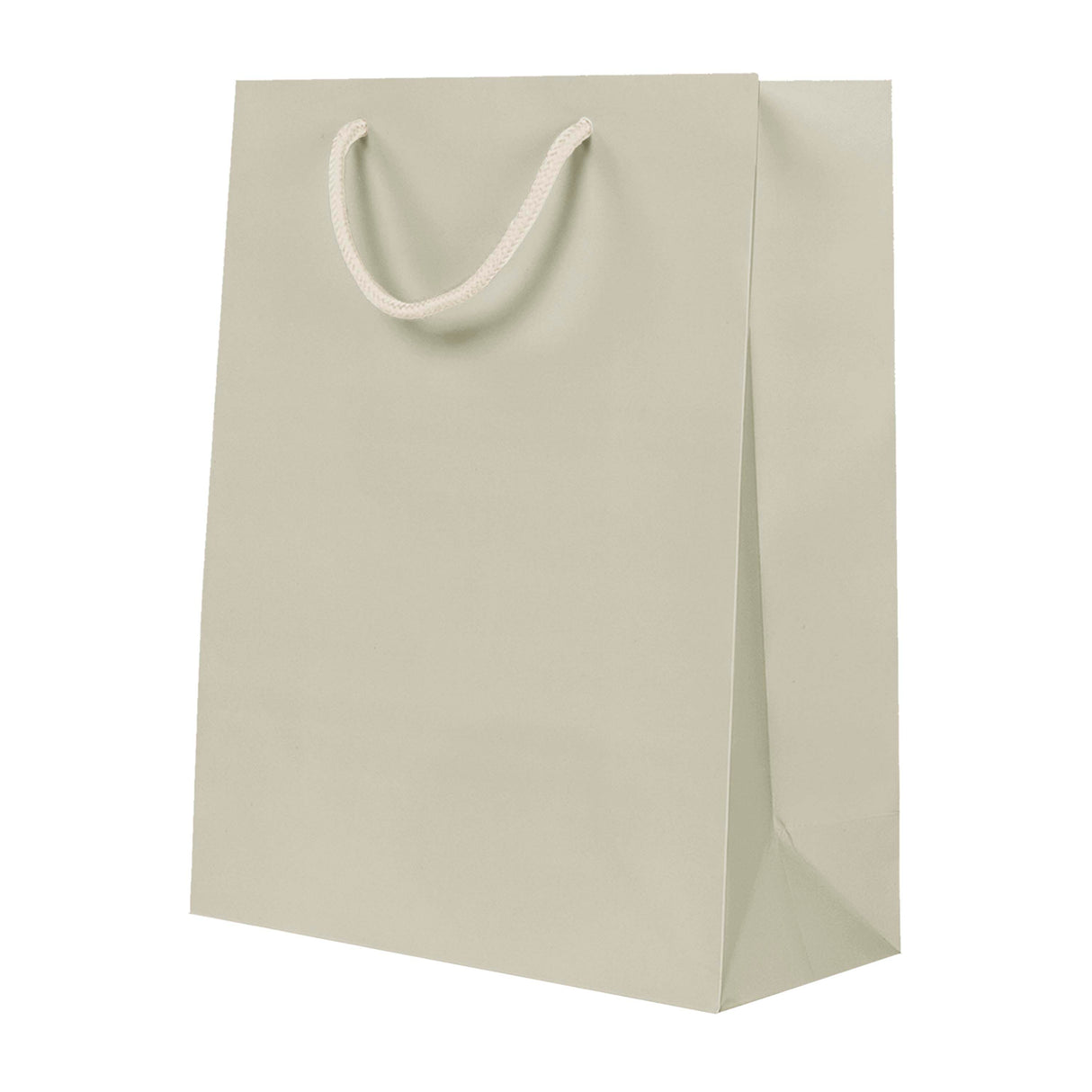 Sac de luxe mat en papier