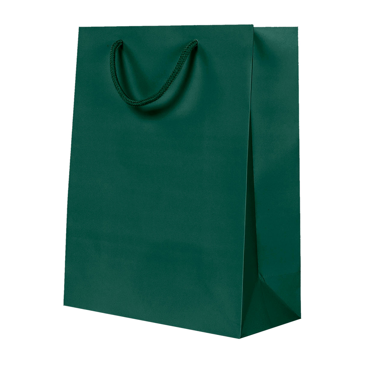 Sac de luxe mat en papier