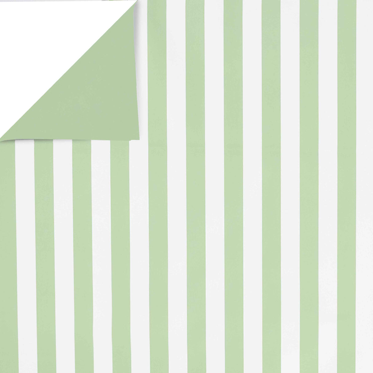 Bobina Fantasia Line