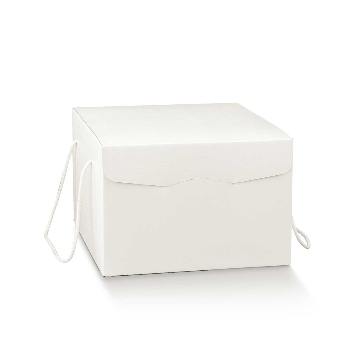 Scatole Regalo Segreto Seta con Manici