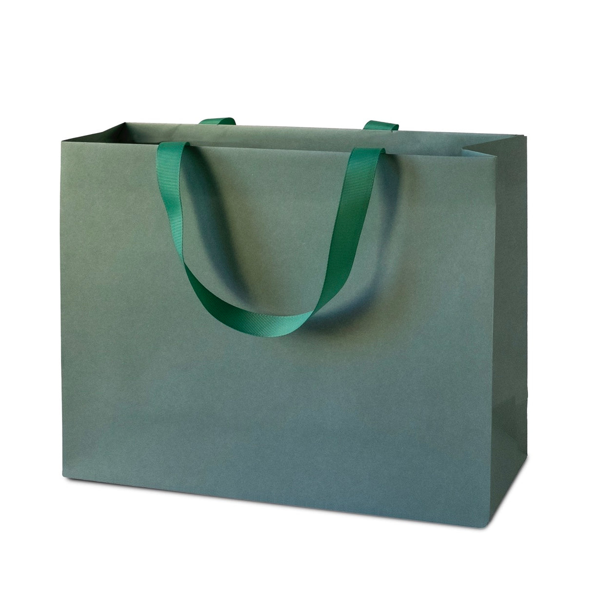 Shopper Carta Elegante Maniglie in Gros Grain