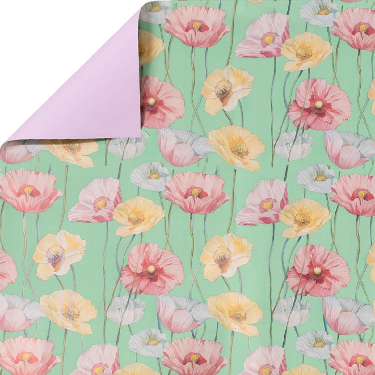 Bobina per Confezioni Fantasia Papavero mt 25x1