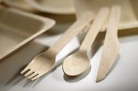 Cucchiaino in legno biodegradabile