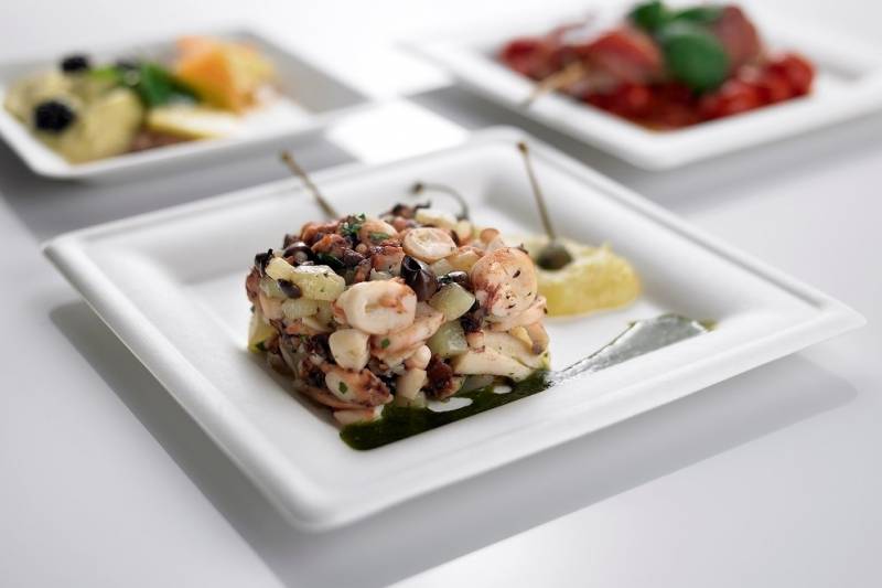 Fondina quadrata bio in polpa di cellulosa compostabile