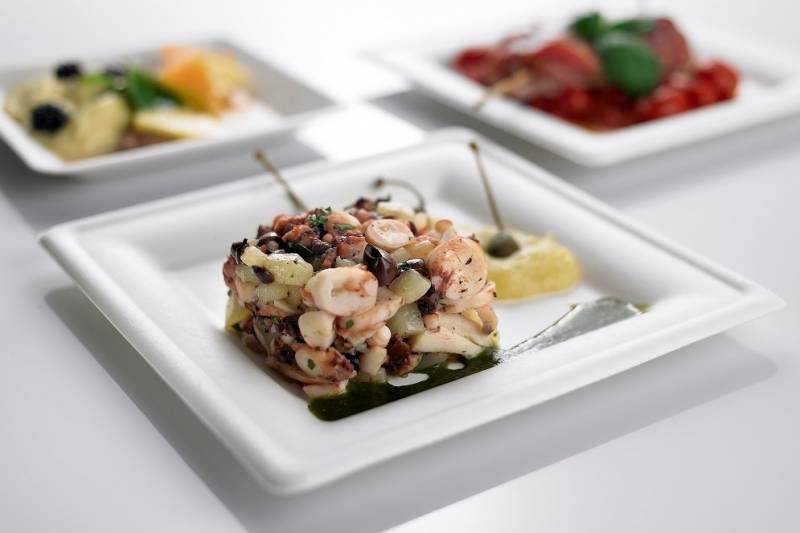 Piatto bio quadrato in polpa di cellulosa