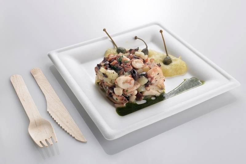 Piatto bio quadrato in polpa di cellulosa