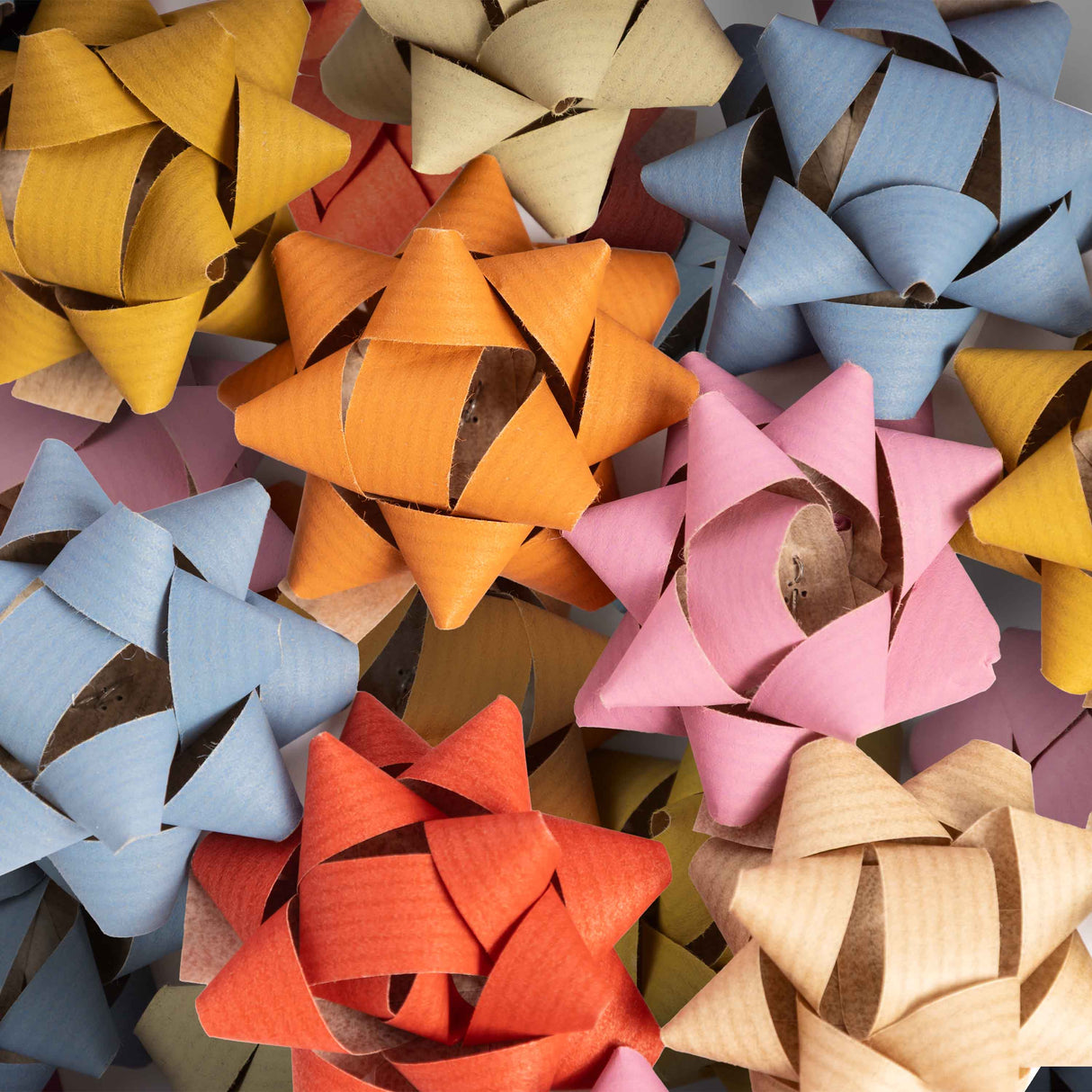 Coccarde carta 100% biodegradabili