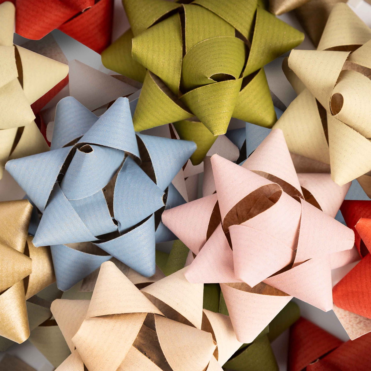 Coccarde carta 100% biodegradabili