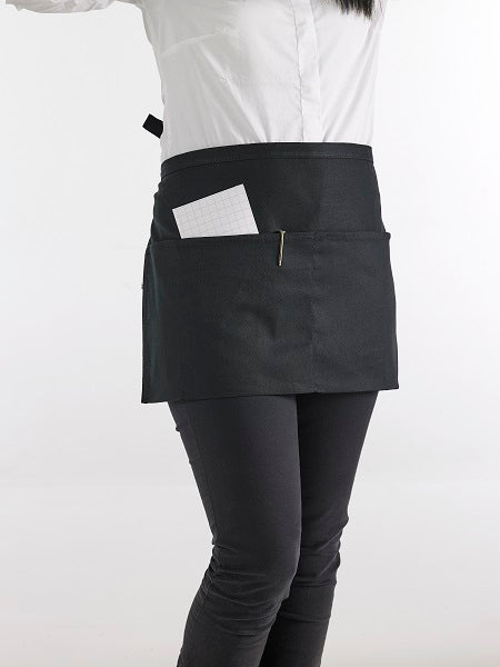 Parannanza Professionale