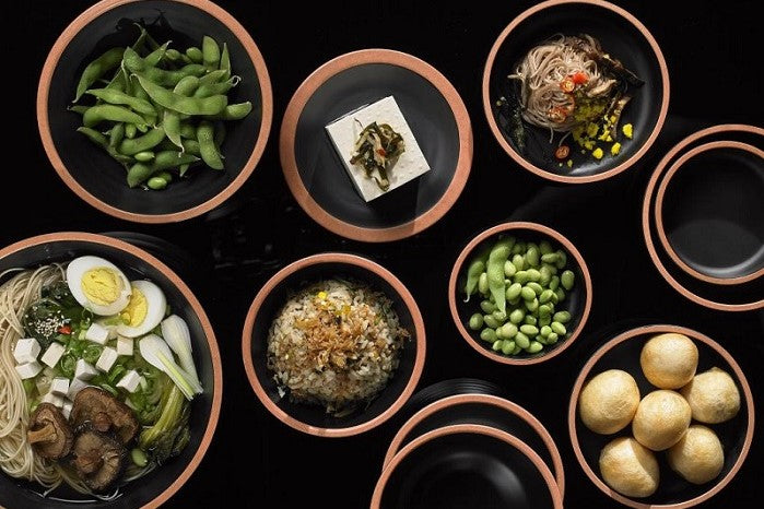 Ciotola Terracotta in melamina