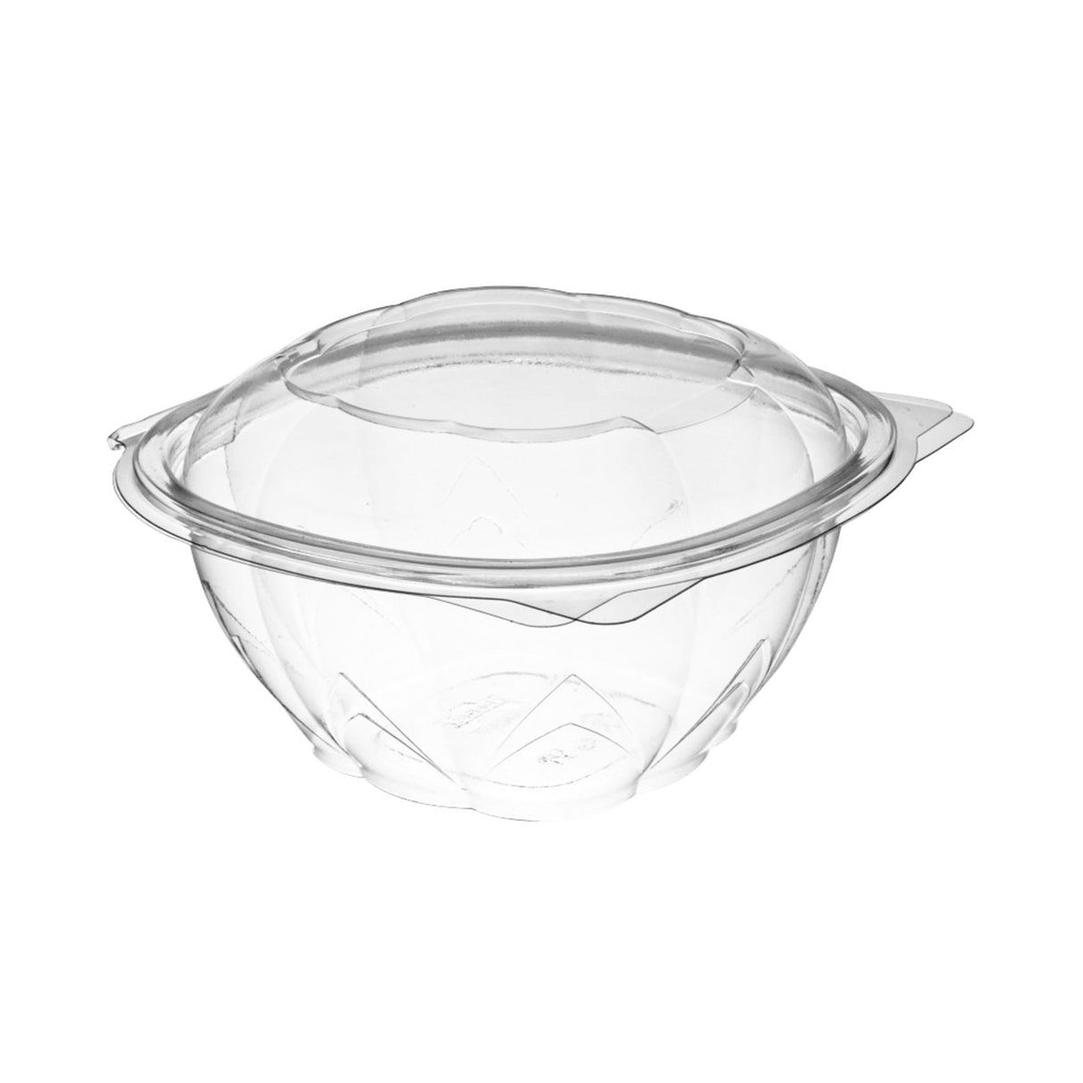 Contenitore in PET con Coperchio Trasparente