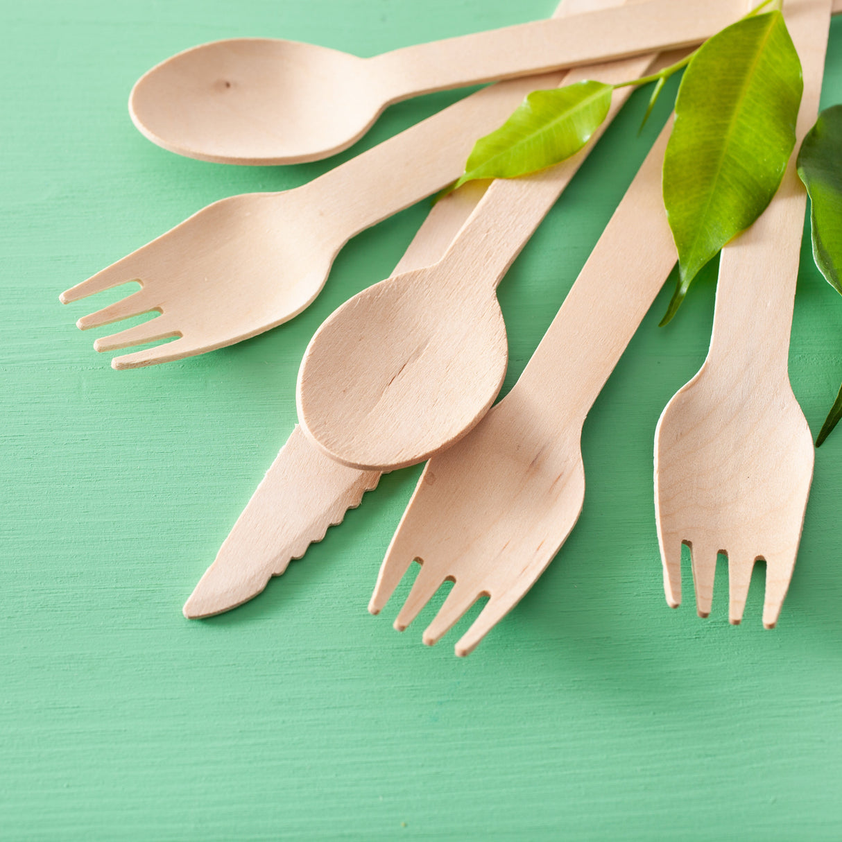 Cucchiaino in legno biodegradabile