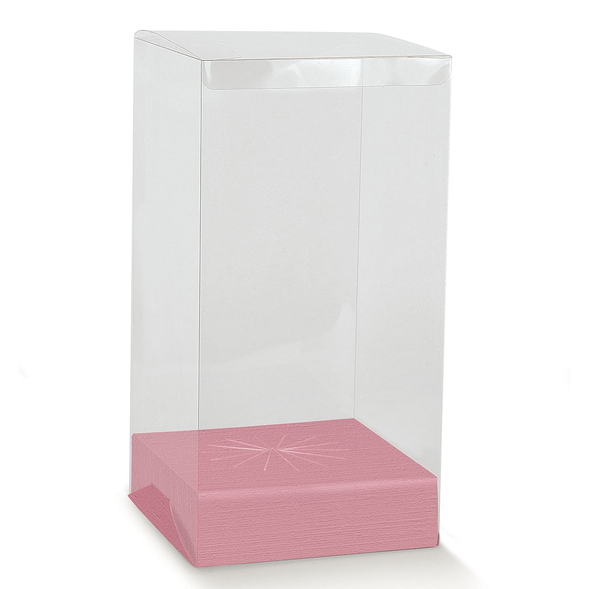 Scatola Porta Uovo Trasparente con Fondo