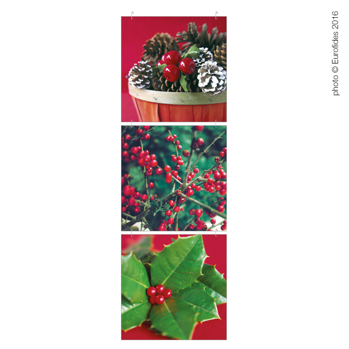 Pendente Bacche Rosse per vetrine