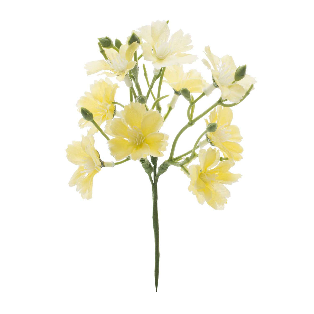 Pick Fiori di Primula