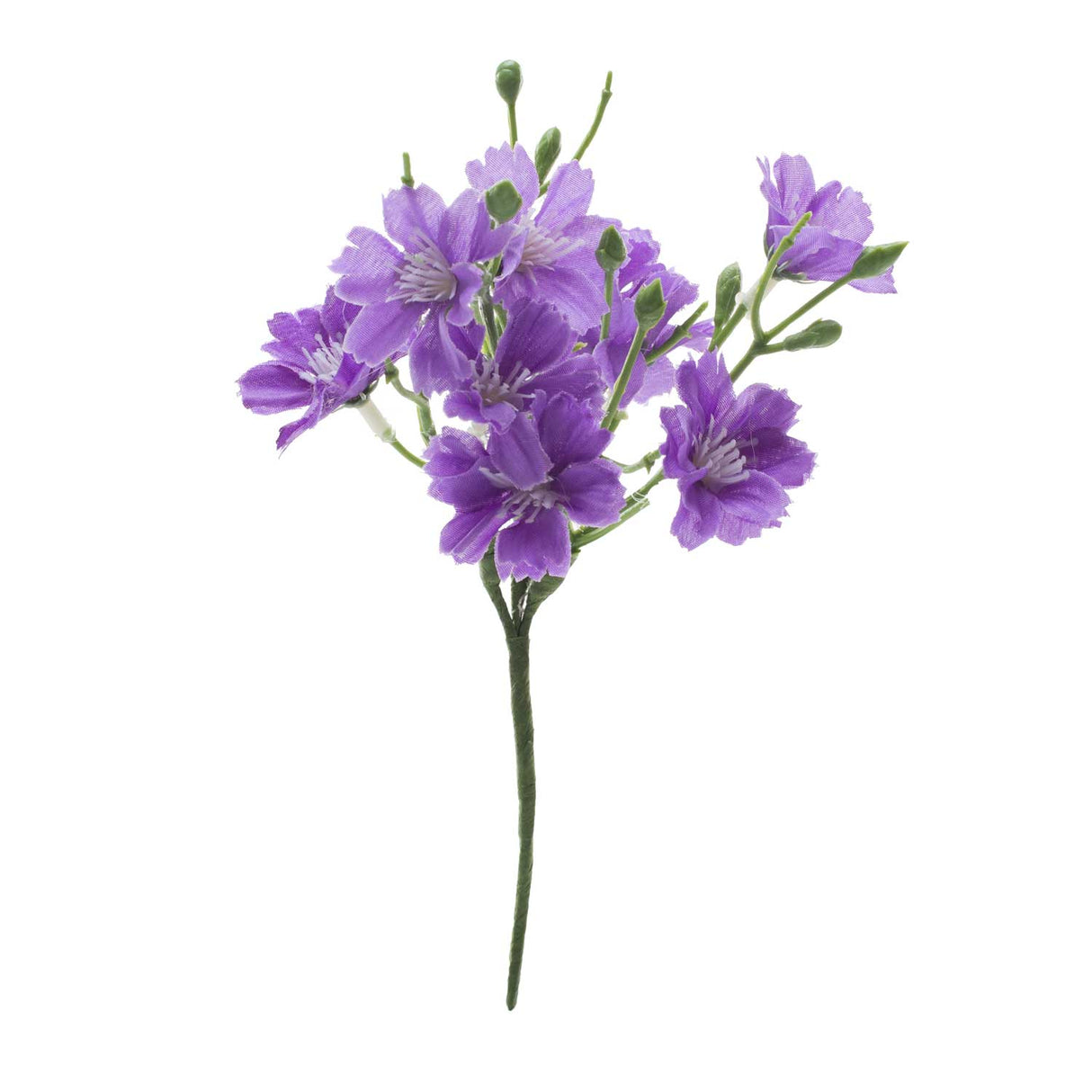 Pick Fiori di Primula