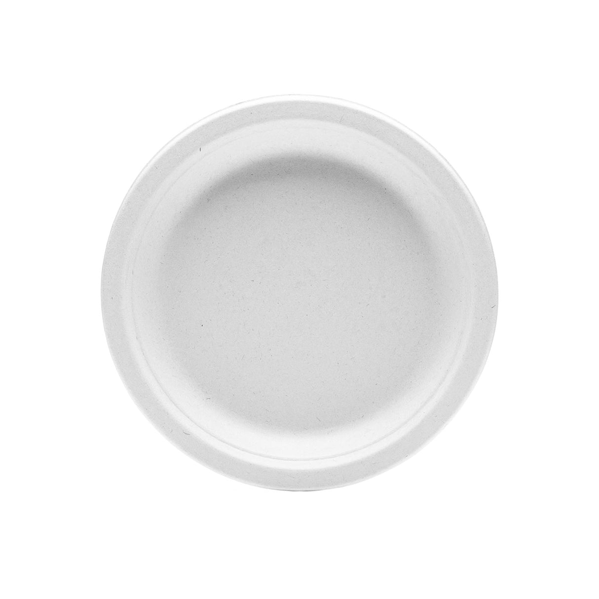 Piatto Piano in Polpa di Cellulosa Tondo