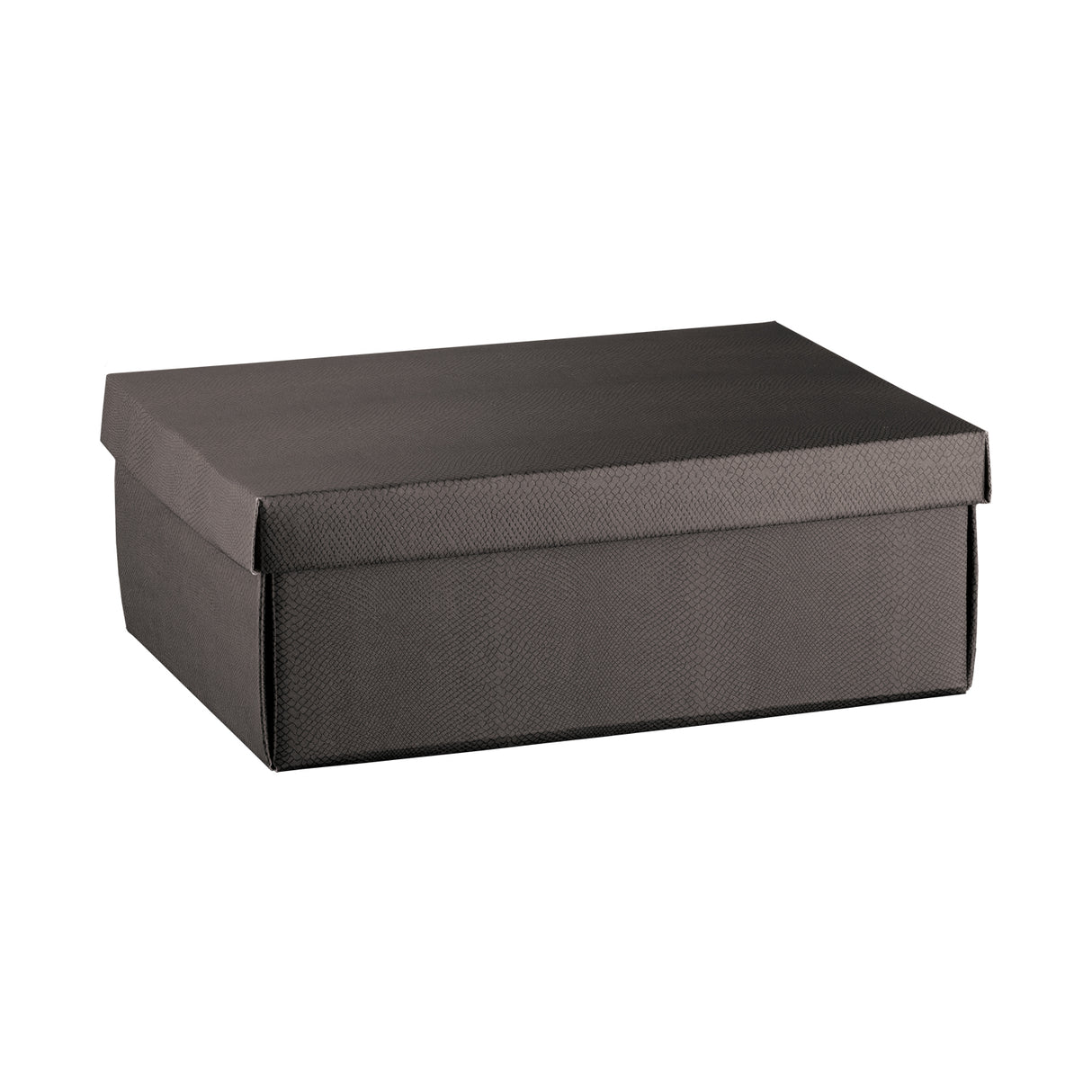 Scatola con Coperchio Skin Coffee