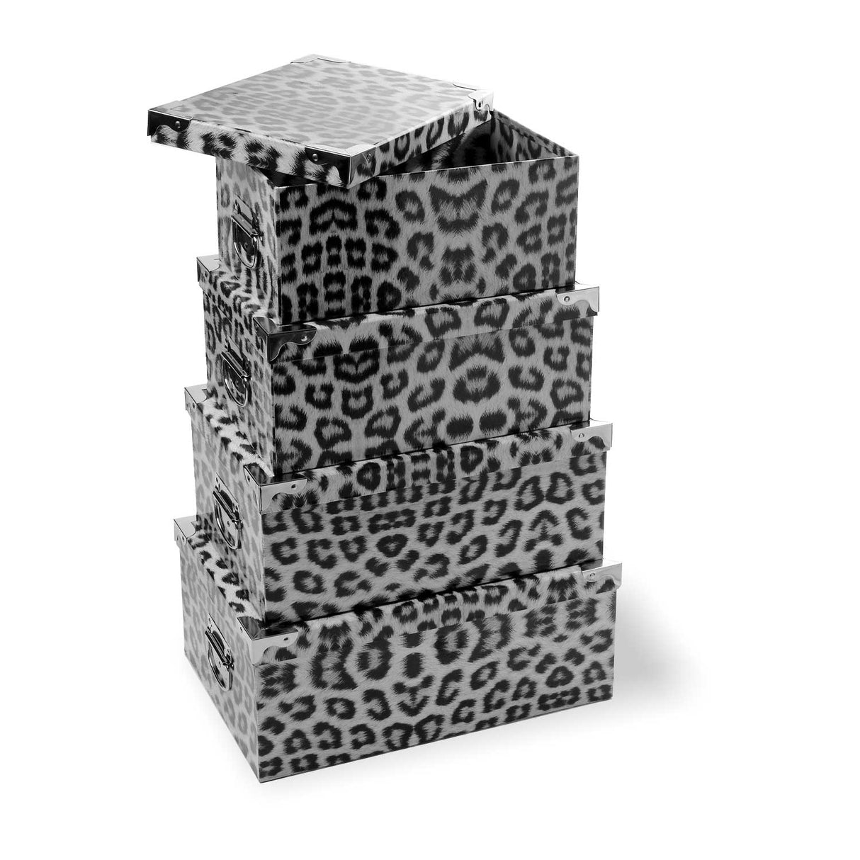 Set Scatole Maculata