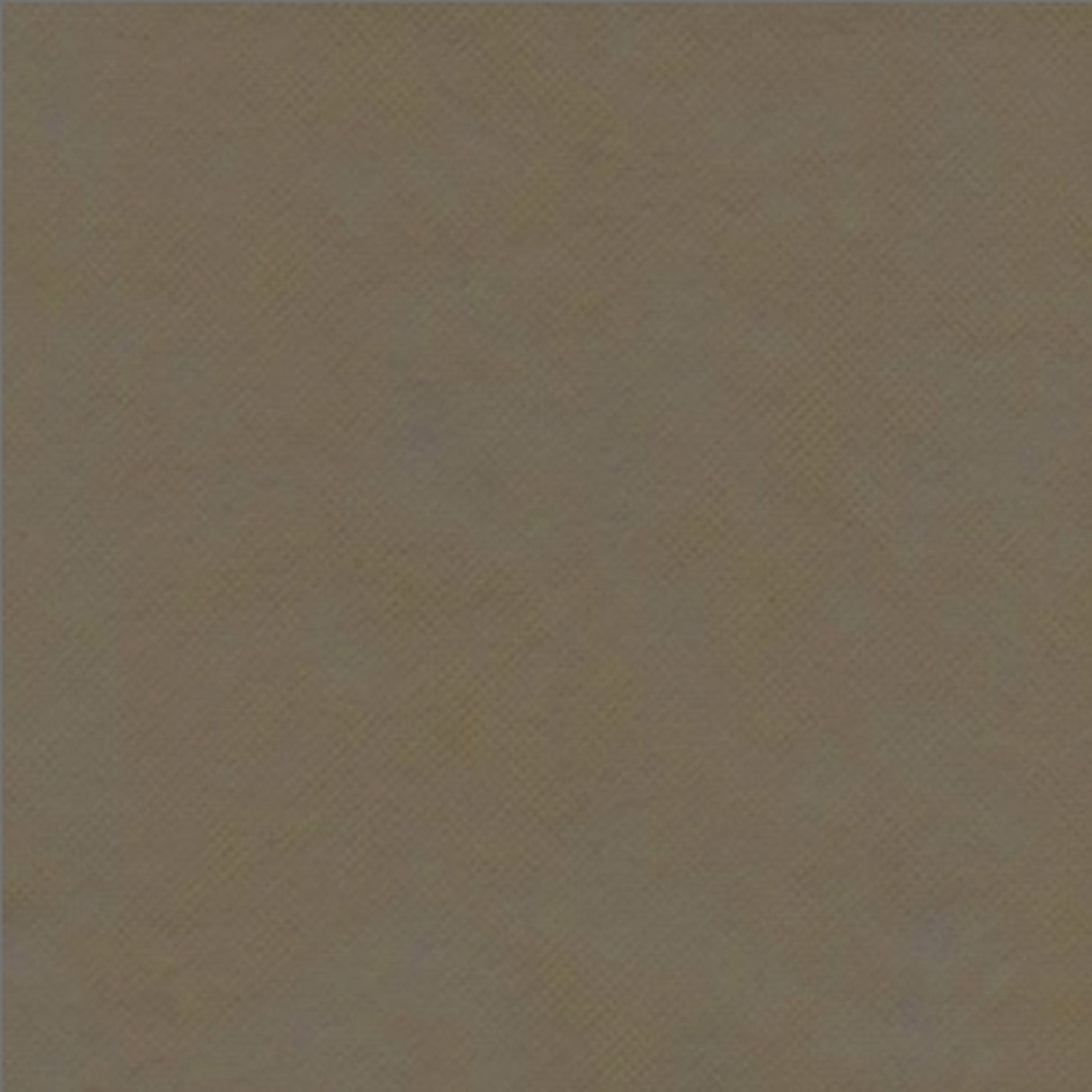 Tovaglia coprimacchia in TNT