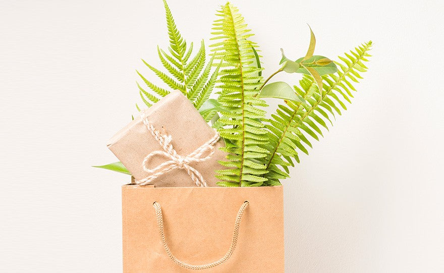 Le parole del packaging sostenibile